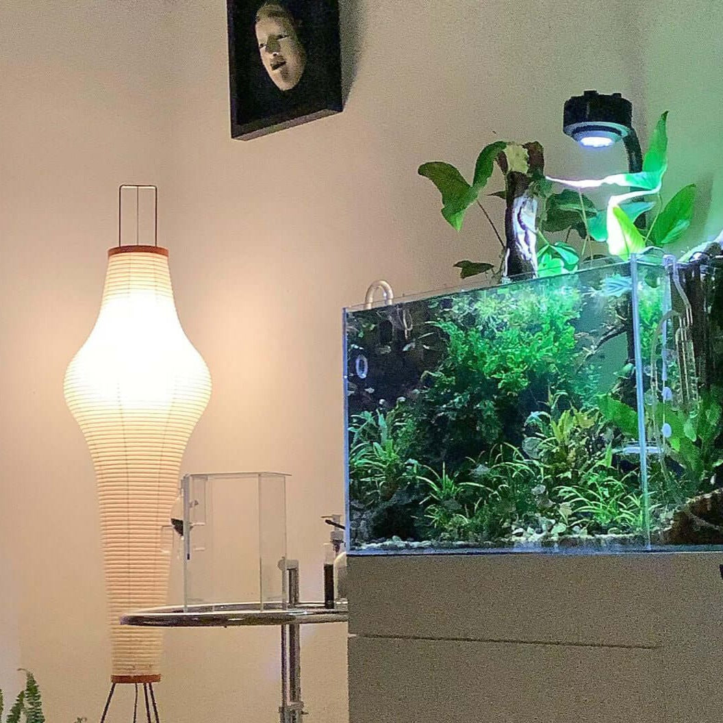 Stehlampe Aus Reispapier – Stilvolle Beleuchtung Für Dein Zuhause